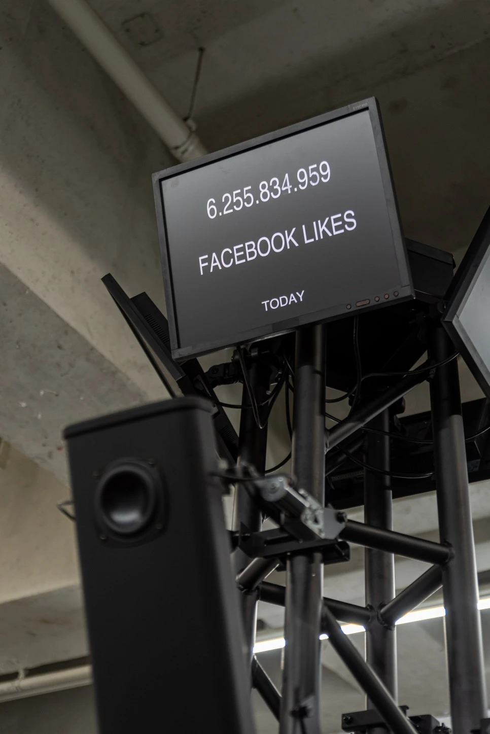 DSC_4130.jpg?type=w966