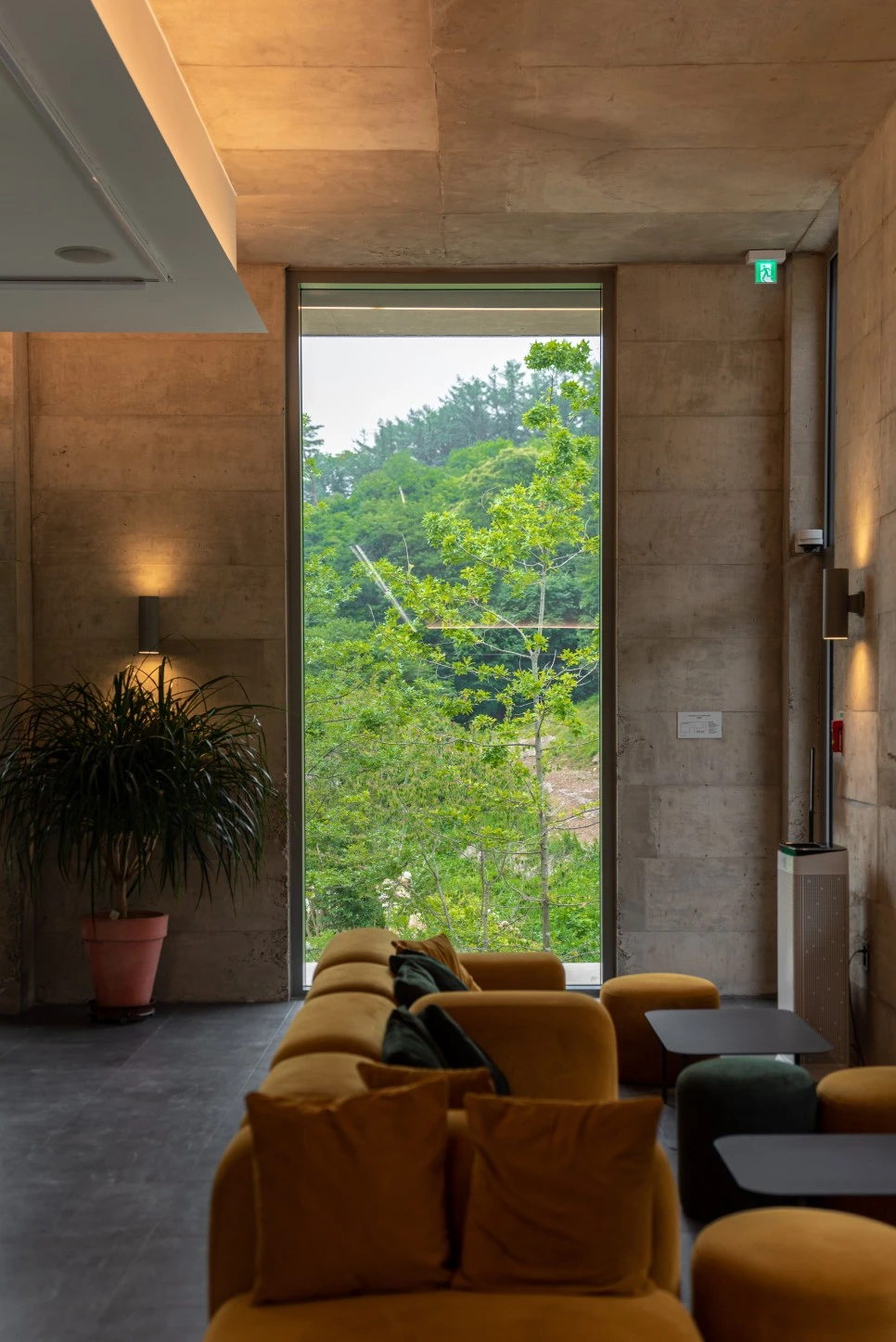 DSC_4561.jpg?type=w966