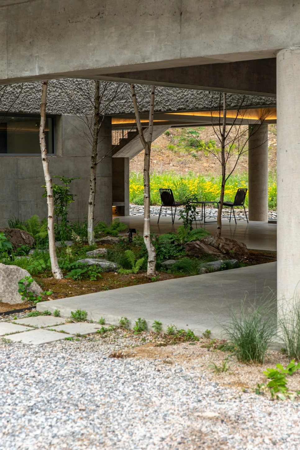 DSC_4593.jpg?type=w966