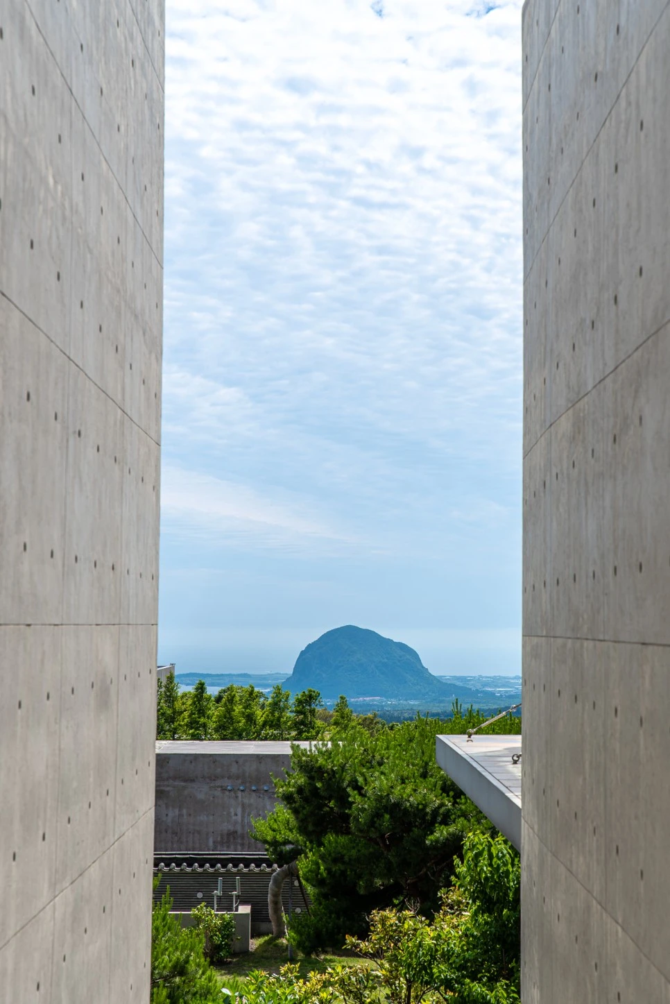 DSC_7209.jpg?type=w966