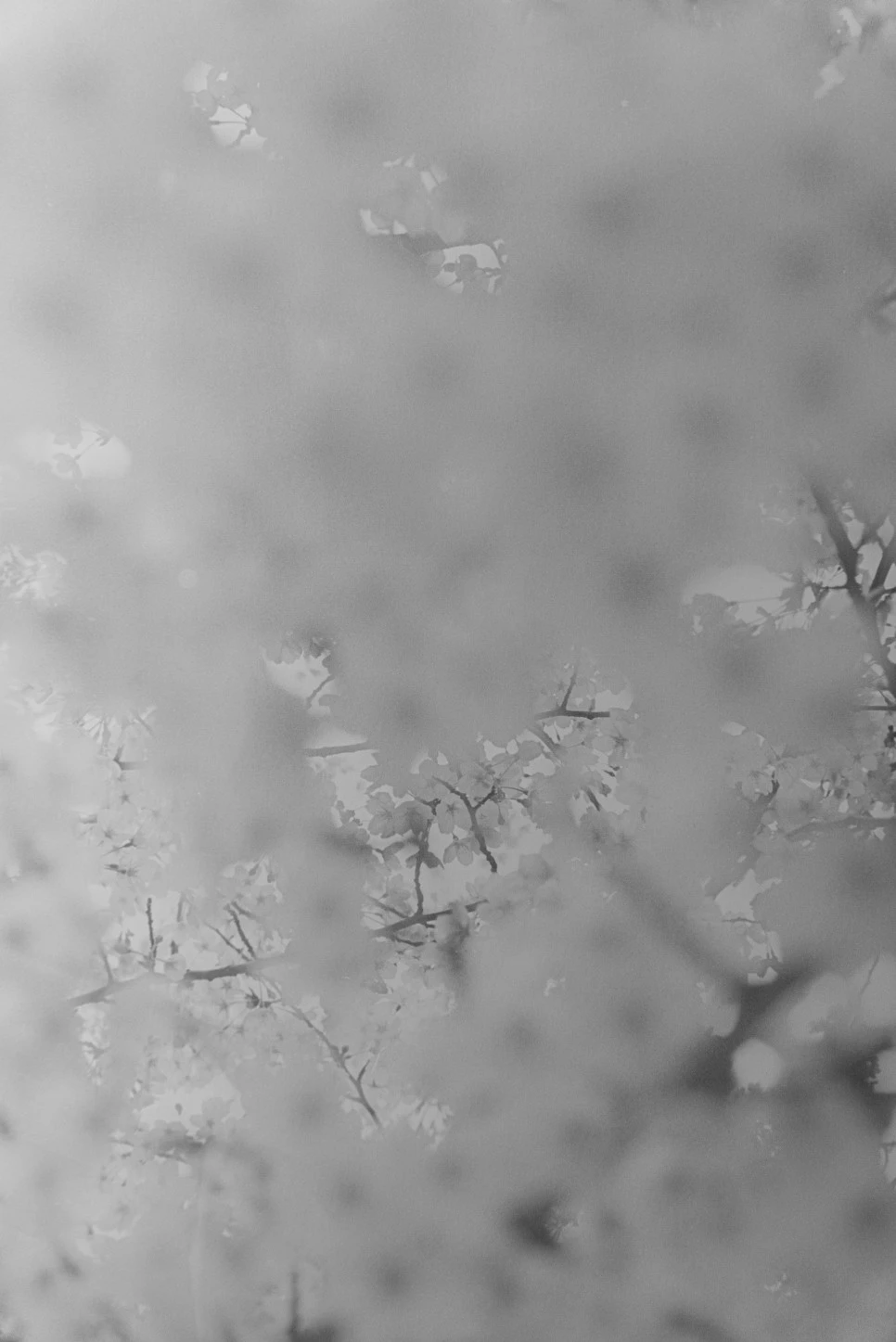 %EF%BB%BF%EC%84%9C%EC%9A%B8_8%EC%9B%94_%EC%82%AC%EC%A7%84%EC%A0%84_%EC%84%B1%EC%88%98_%EA%B0%A4%EB%9F%AC%EB%A6%AC_%EA%B5%AC%EC%A1%B0_%EB%AF%BC%EB%B3%91%ED%97%8C_%EA%B0%9C%EC%9D%B8%EC%A0%84-05.jpg?type=w966