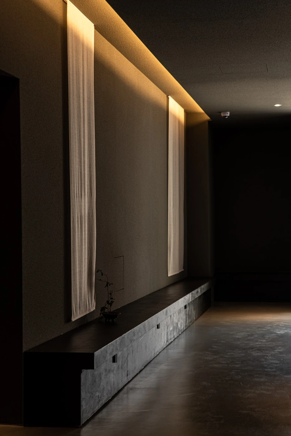 DSC_1751.jpg?type=w1