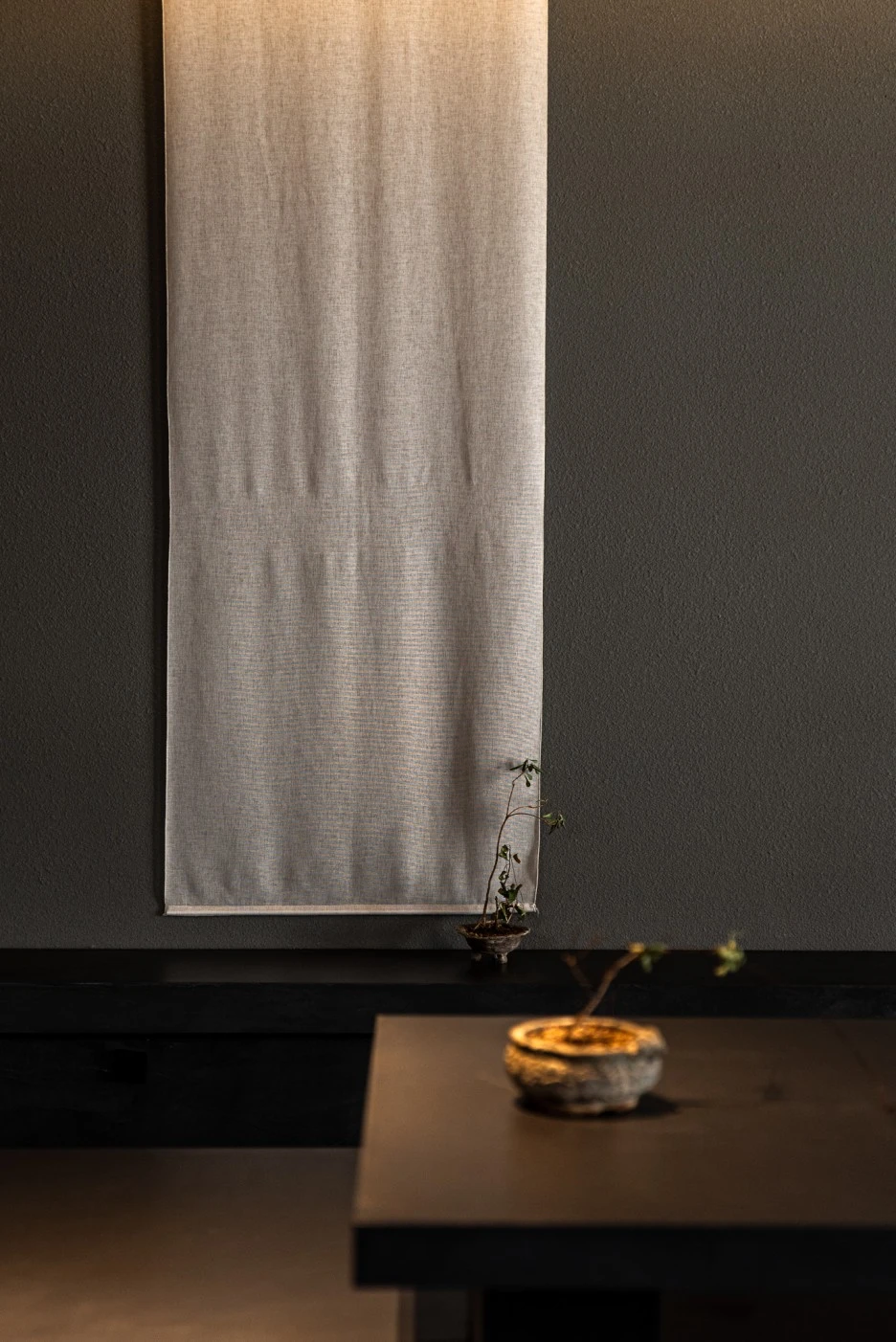 DSC_1689.jpg?type=w1