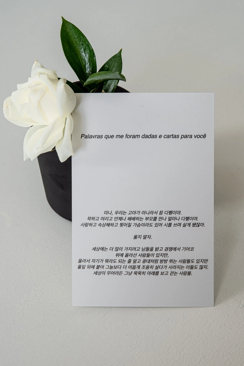 %EF%BB%BF%ED%99%8D%EB%8C%80_%EA%B0%80%EC%98%A4%ED%94%88_%EC%8B%A0%EC%83%81%EC%B9%B4%ED%8E%98__%EC%99%80%EC%9D%B8%EB%B0%94_%EC%83%9D%EC%B8%84%EC%96%B4%EB%A6%AC-39.jpg?type=w966