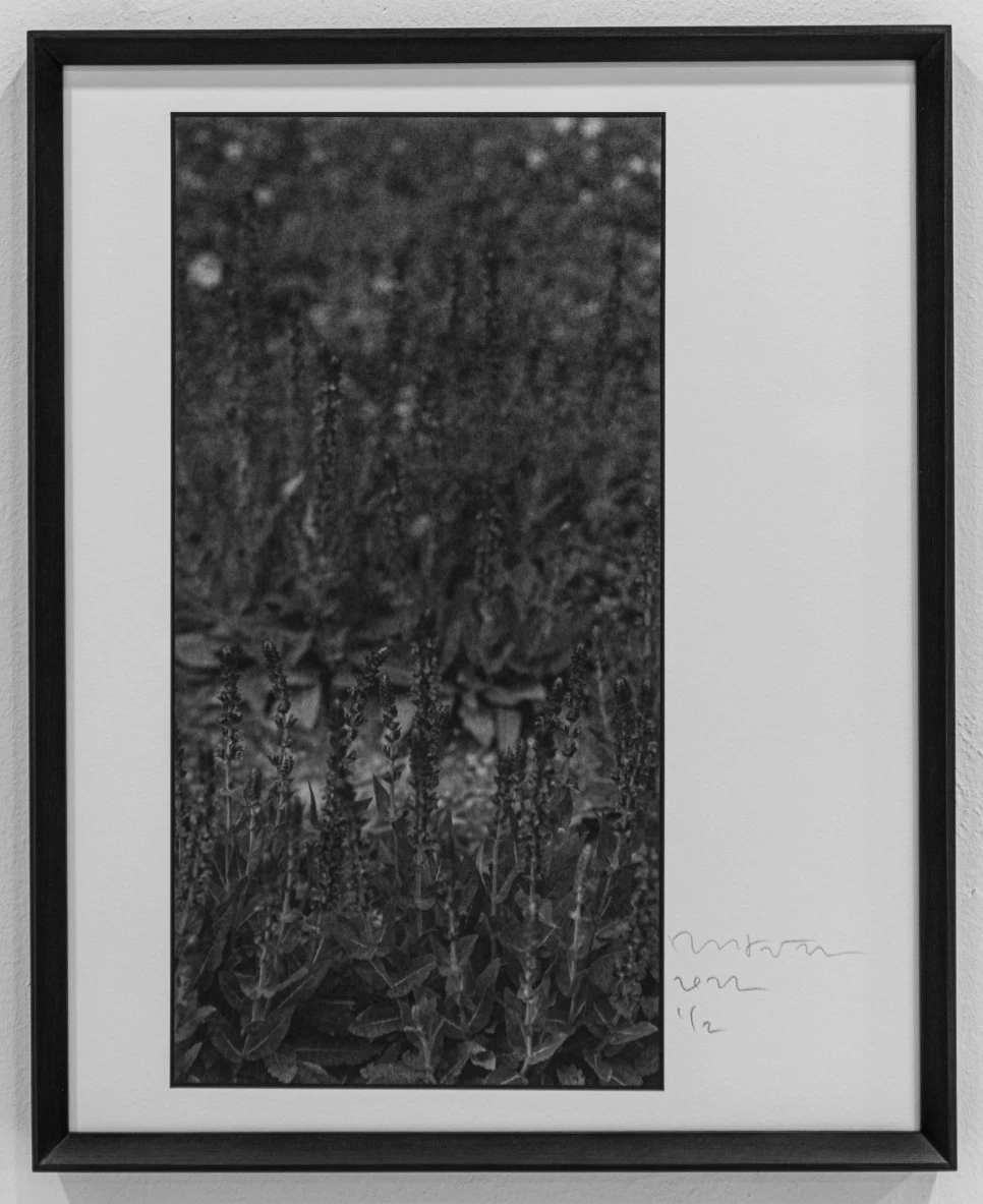 %EF%BB%BF%EC%84%9C%EC%9A%B8_8%EC%9B%94_%EC%82%AC%EC%A7%84%EC%A0%84_%EC%84%B1%EC%88%98_%EA%B0%A4%EB%9F%AC%EB%A6%AC_%EA%B5%AC%EC%A1%B0_%EB%AF%BC%EB%B3%91%ED%97%8C_%EA%B0%9C%EC%9D%B8%EC%A0%84-07.jpg?type=w966