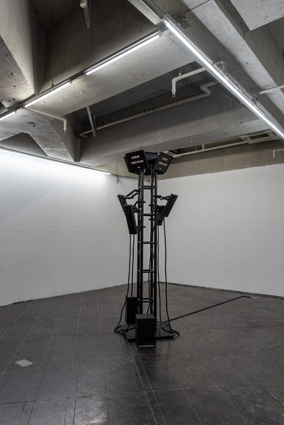 DSC_4118.jpg?type=w966