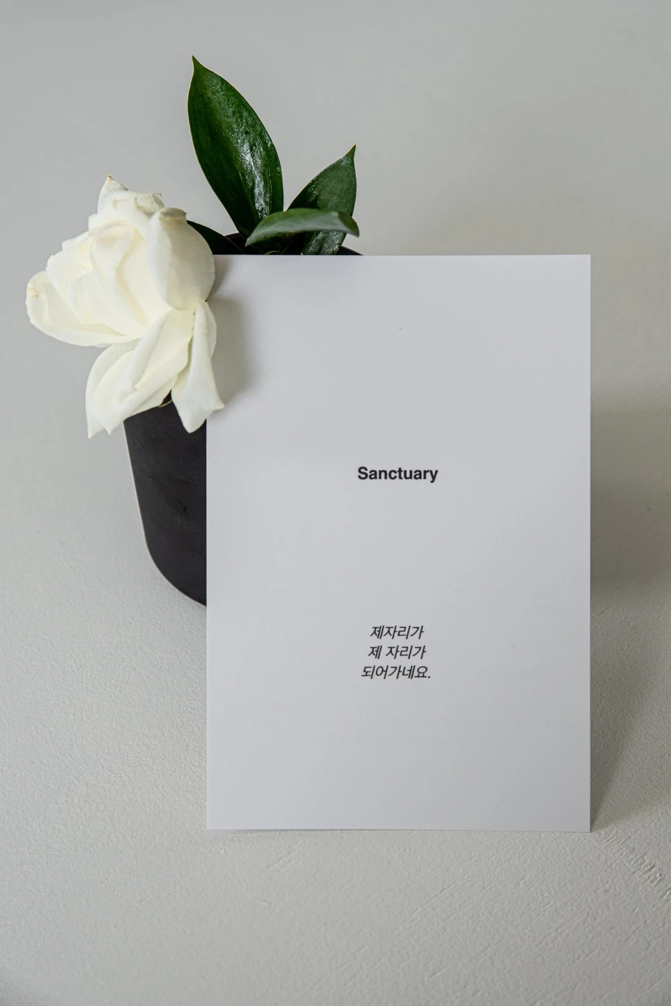 %EF%BB%BF%ED%99%8D%EB%8C%80_%EA%B0%80%EC%98%A4%ED%94%88_%EC%8B%A0%EC%83%81%EC%B9%B4%ED%8E%98__%EC%99%80%EC%9D%B8%EB%B0%94_%EC%83%9D%EC%B8%84%EC%96%B4%EB%A6%AC-40.jpg?type=w966