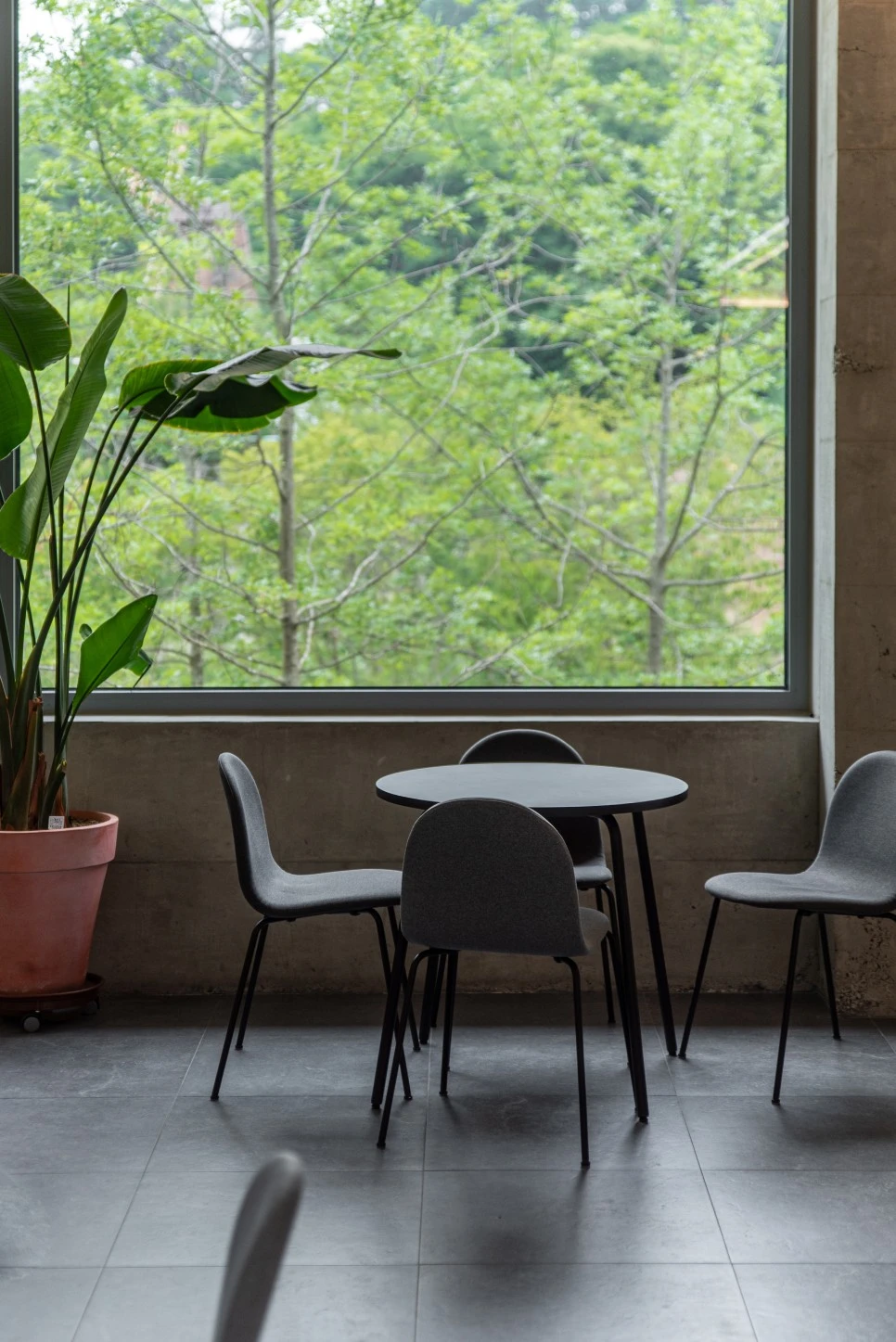 DSC_4574.jpg?type=w966