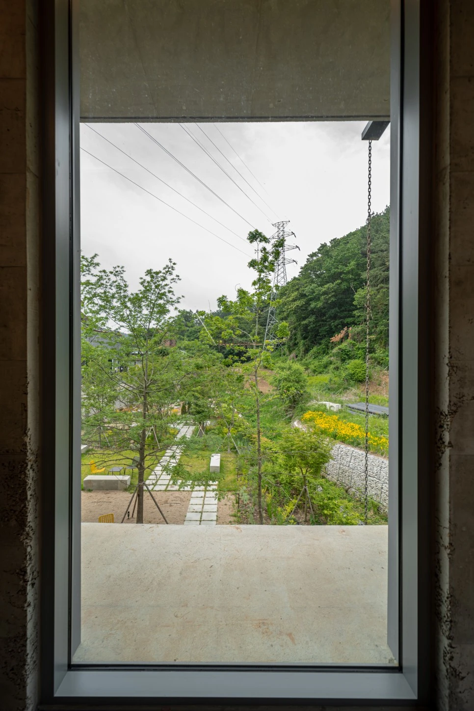 DSC_4546.jpg?type=w966