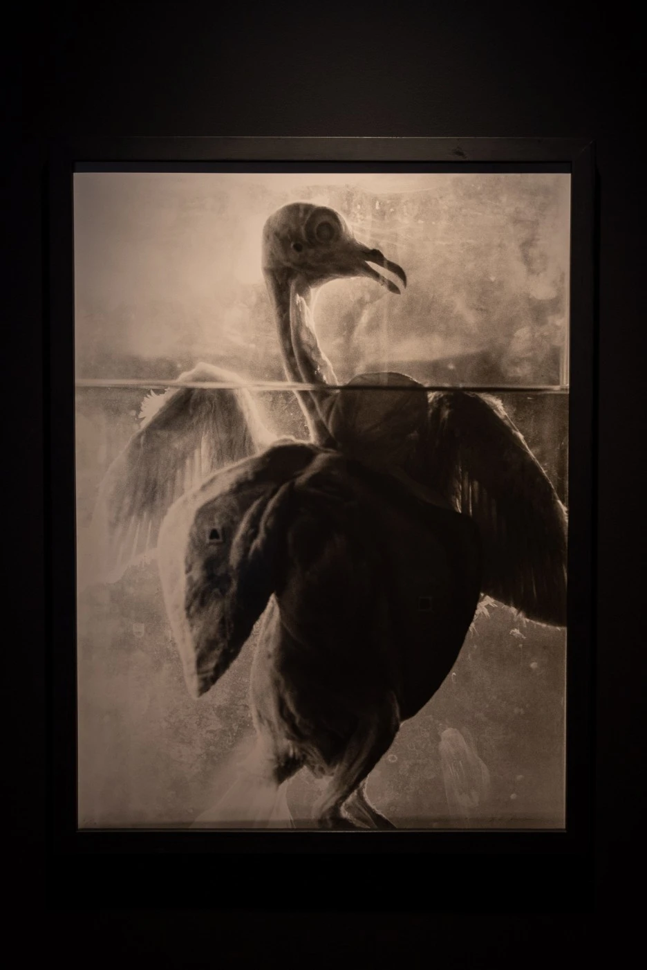 %EC%84%9C%EC%9A%B8%EC%A0%84%EC%8B%9C%ED%9A%8C_%EB%A6%AC%EC%9B%80_%EB%AF%B8%EC%88%A0%EA%B4%80_M2_39.jpg?type=w1