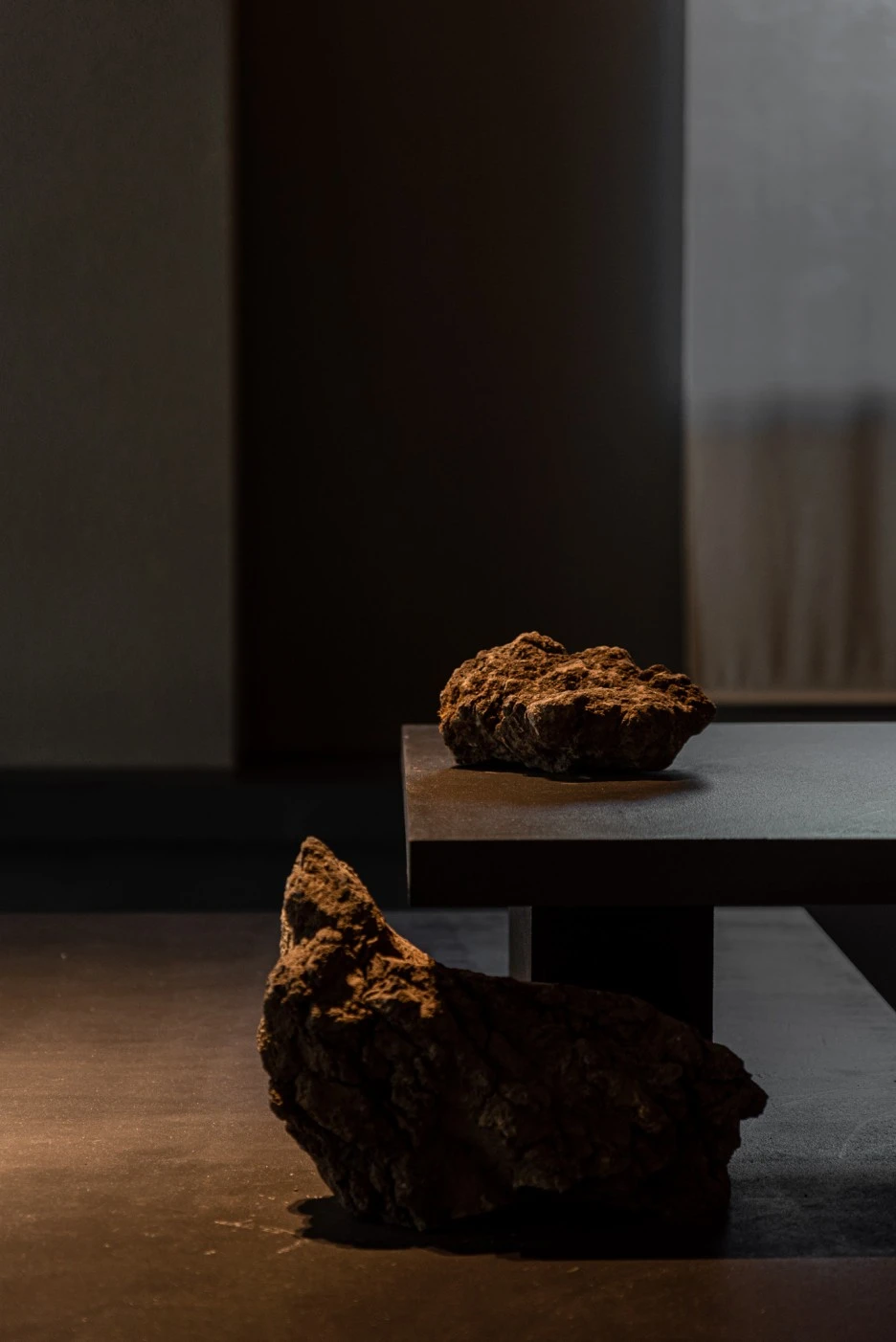 DSC_1586.jpg?type=w1