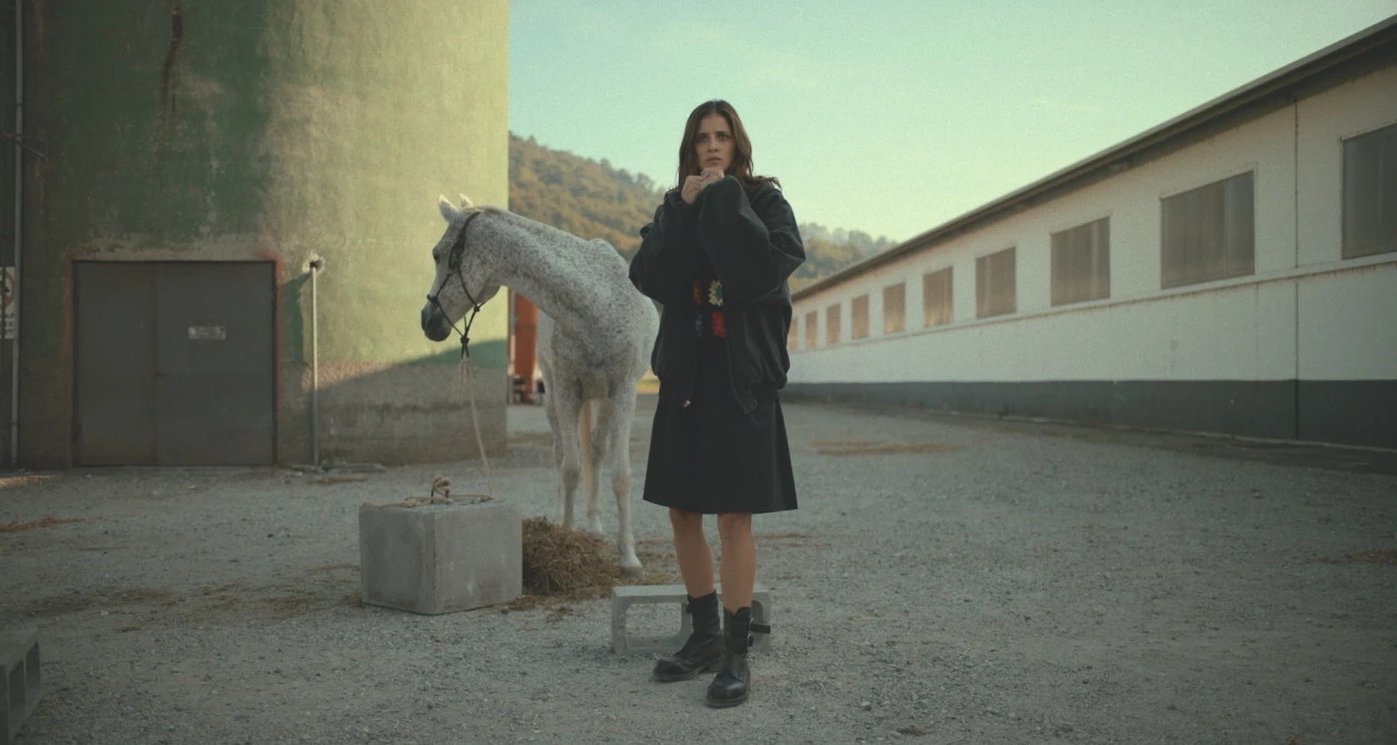 영화 아만다 후기.jpeg