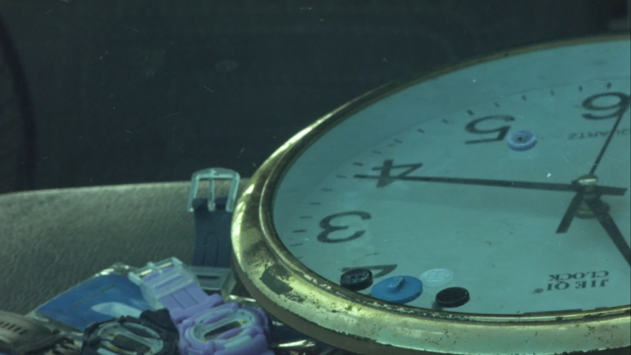 카일리 블루스 후기.jpeg