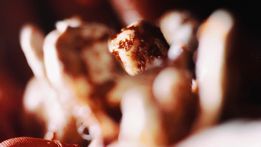 다섯번째 흉추.jpeg