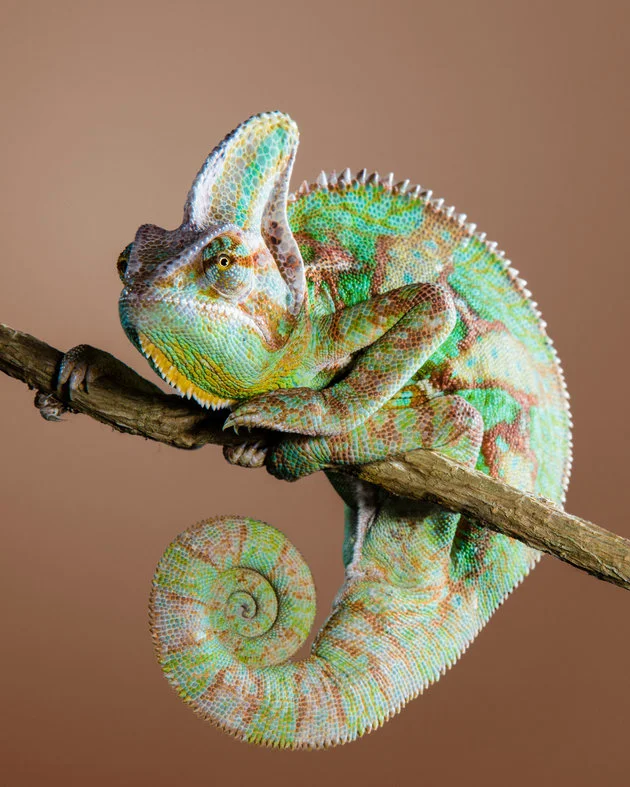 5b5ad5ec190000140350081c.jpeg?ops=scalefit_630_noupscale