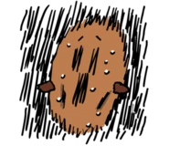 original_20.png?type=p50_50