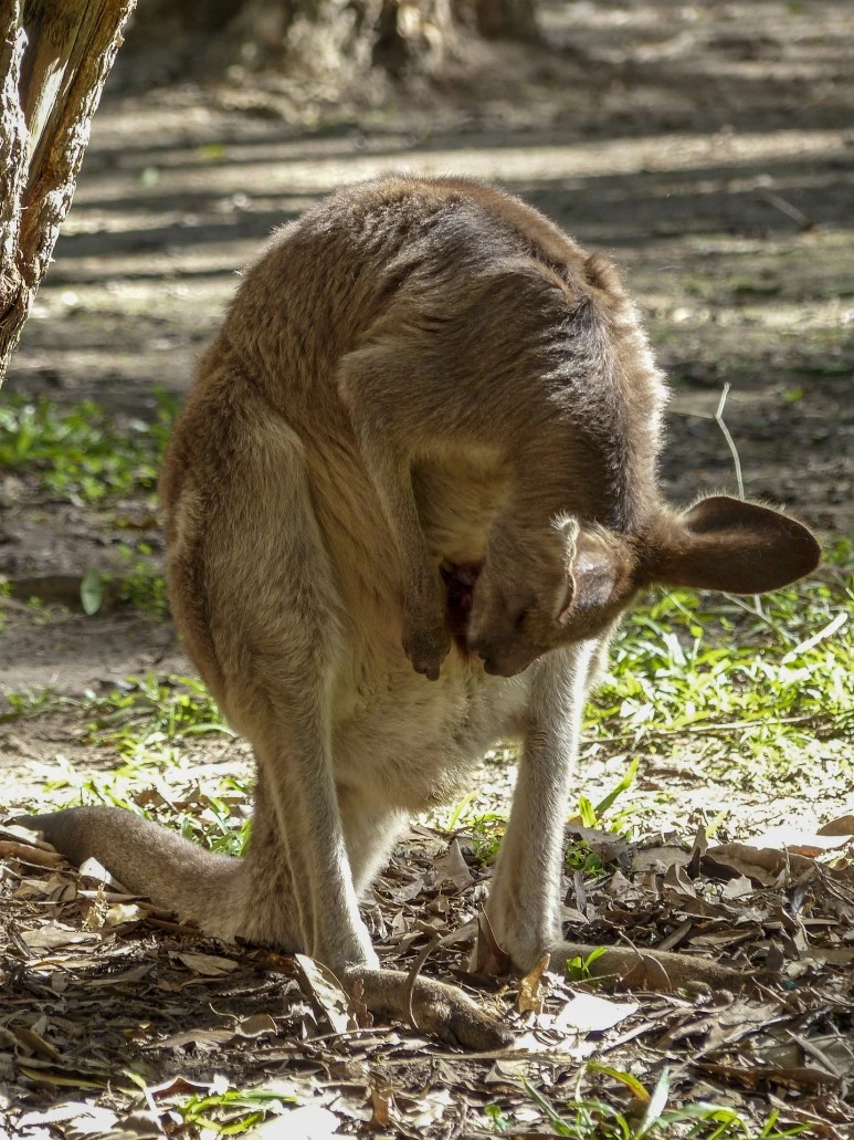 ea34b3092afd003ecd0b4107e7494392e36ae3d01bb2144994f6c97b_1920.jpg?type=w773