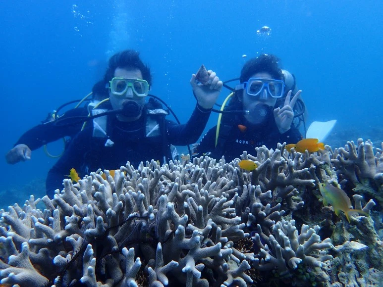 1494071620688.jpeg?type=w773