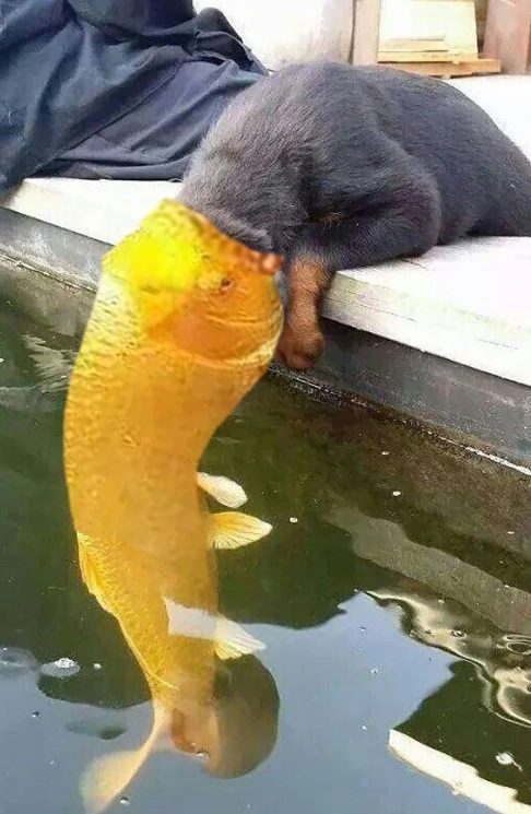 %EA%B0%9C%EC%9E%85%EB%A7%9E%EC%B6%A4.png?type=w773