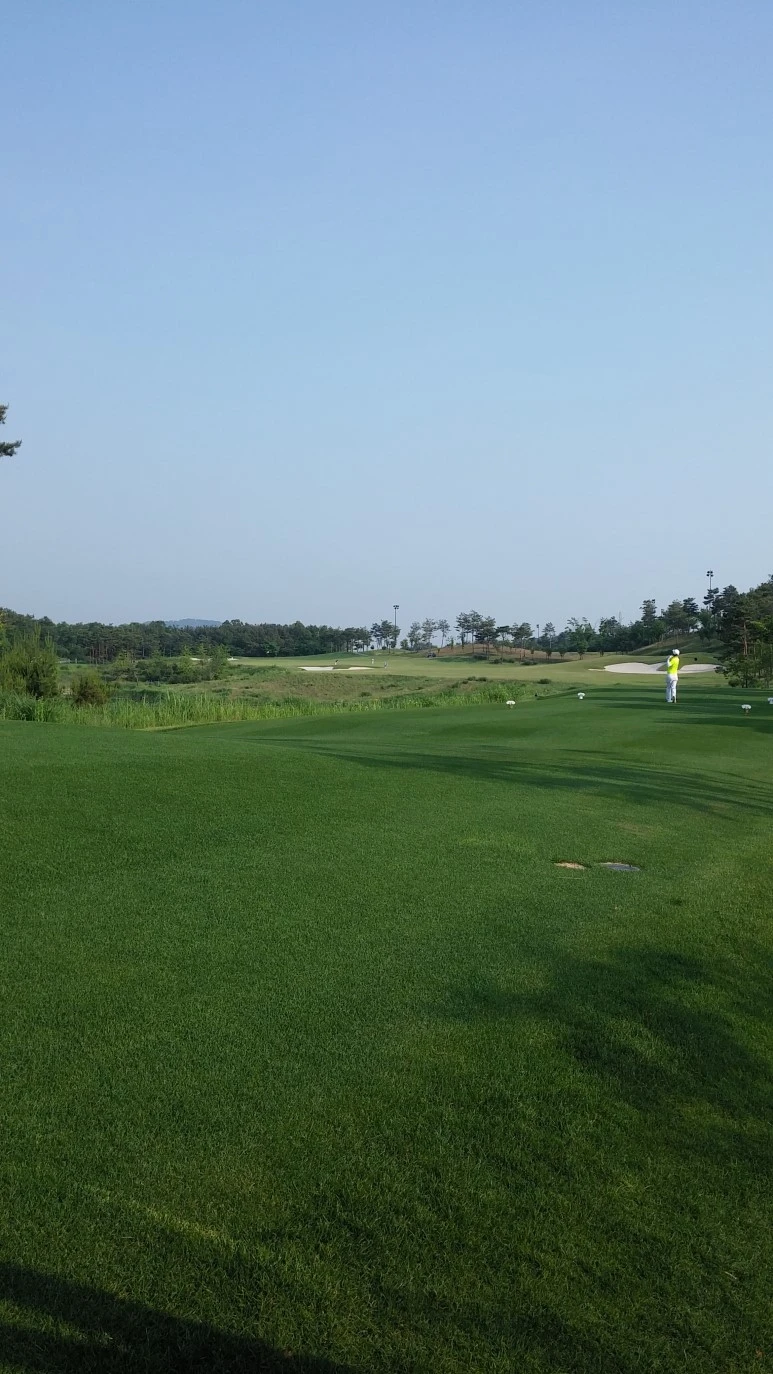 20170529_171945.jpg?type=w773