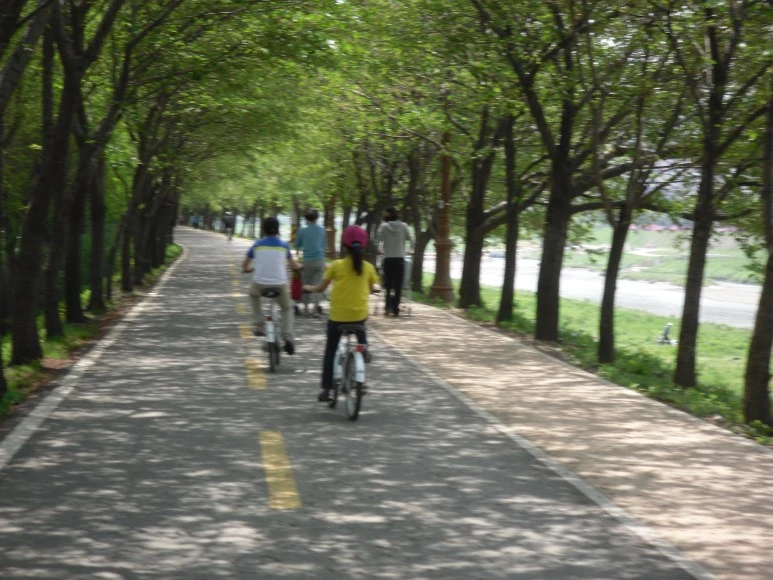 SDC10826.JPG?type=w773