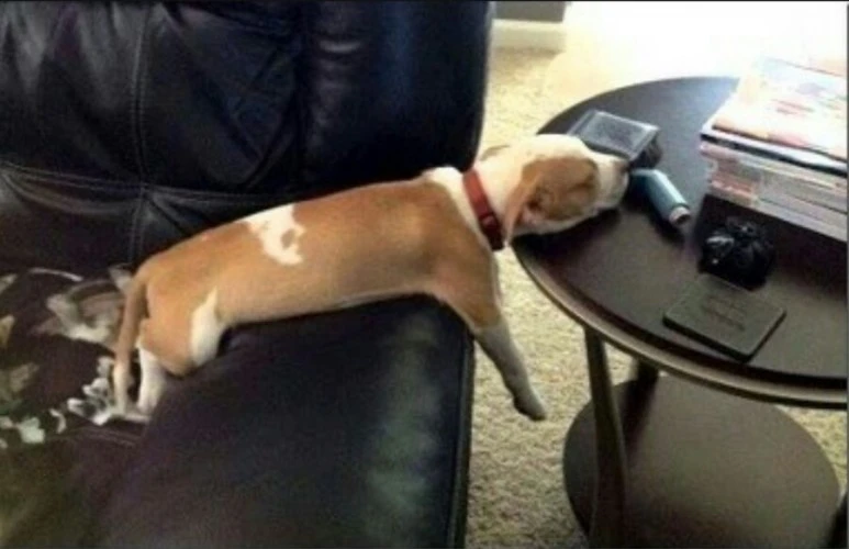 Screenshot_2018-05-07-16-26-39-1.jpg?type=w773