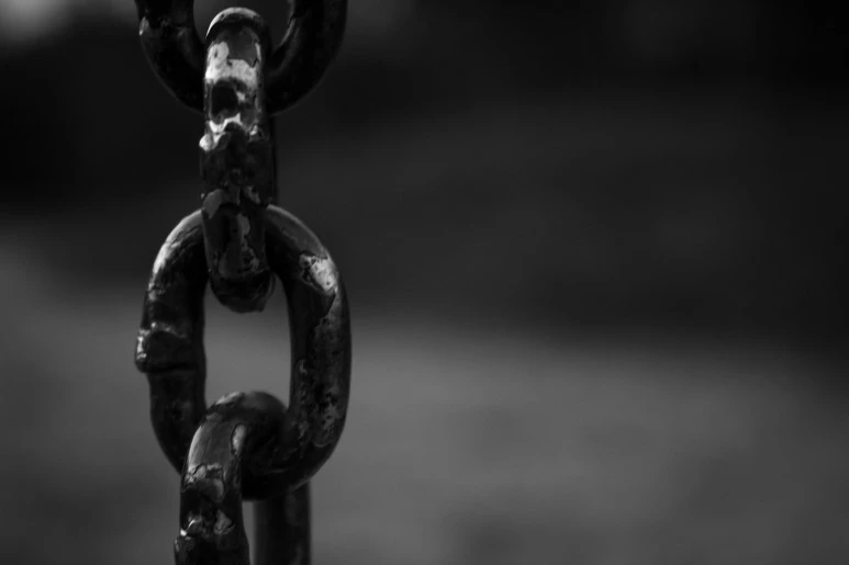 1488165.jpg?type=w773