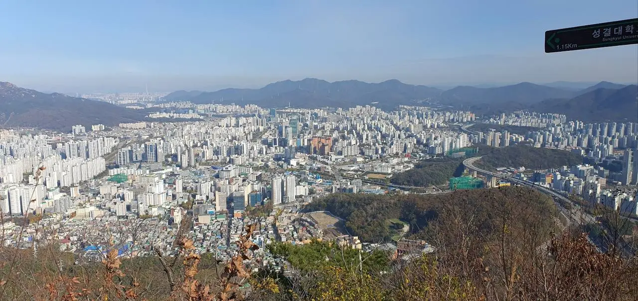 photo_2023-11-13 17.04.06.jpeg