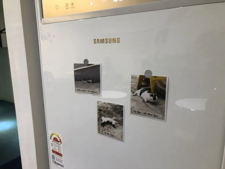 IMG_5816.jpg?type=w773