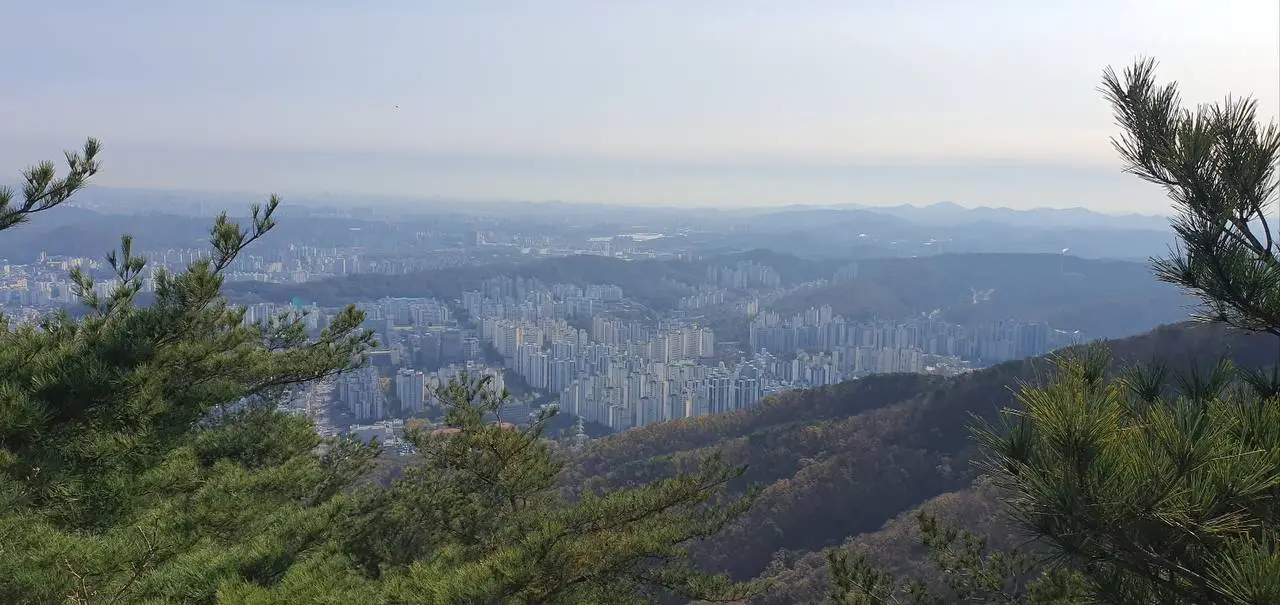 photo_2023-11-13 17.04.08.jpeg