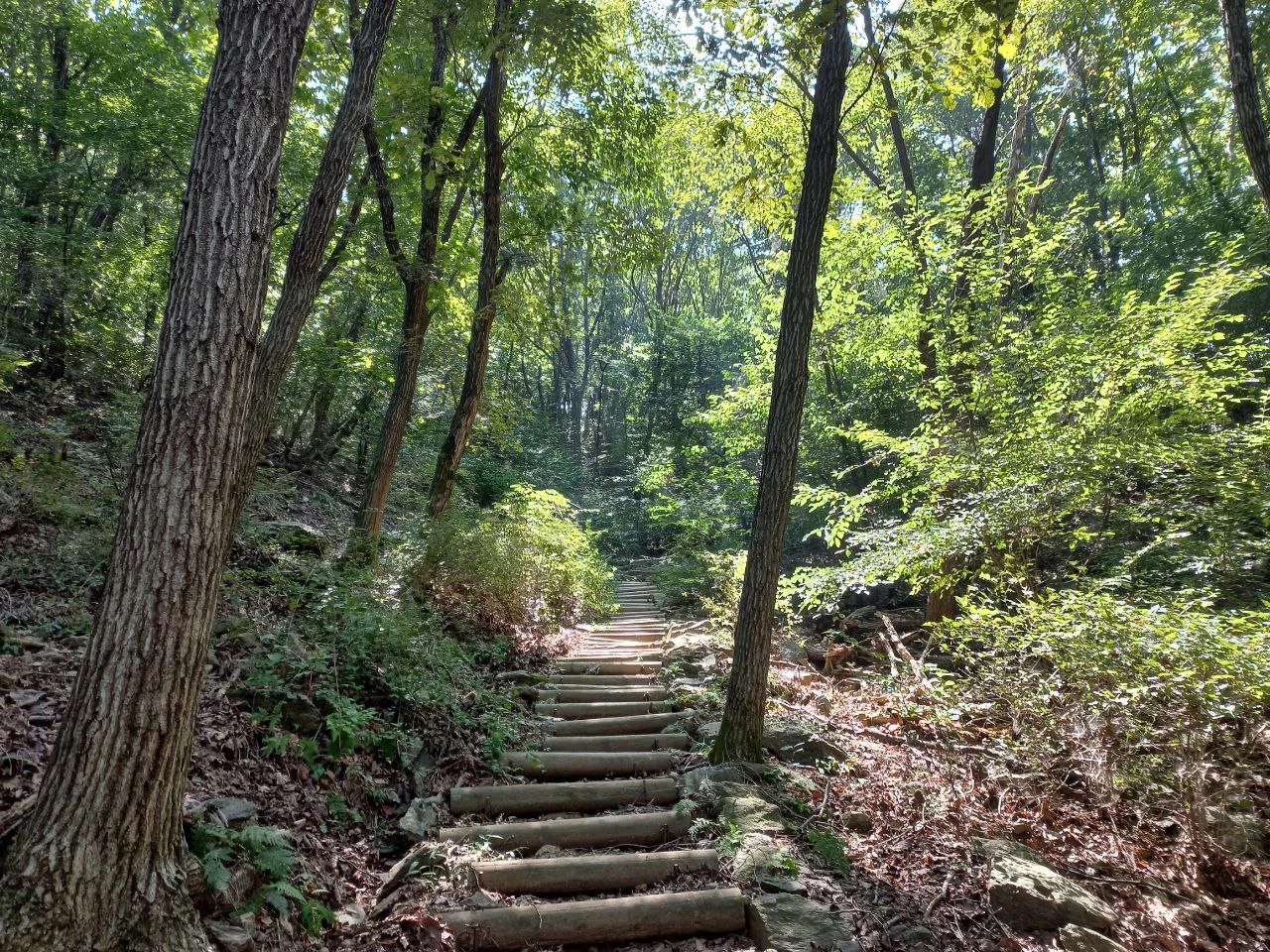 photo_2023-09-09 18.49.04.jpeg