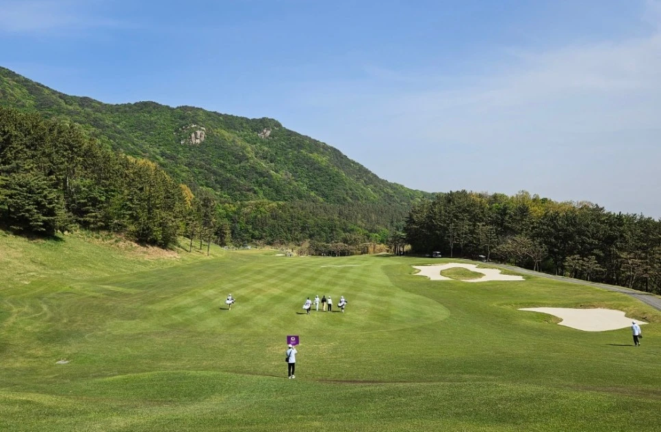 SE-81c02e24-f356-4c8c-87d0-b5ce5c5574fb.jpg?type=w966