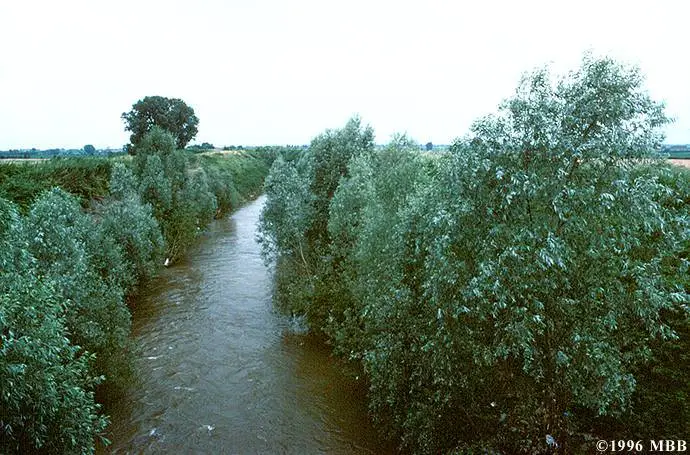 153A894A4D3C129F3543D0