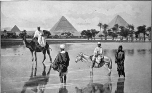 193068534DB3E9B8223D9D