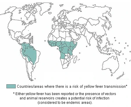 1144063F4F9419CB34F8D5