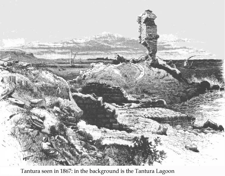 167E364C4E6DE99C17B3A0