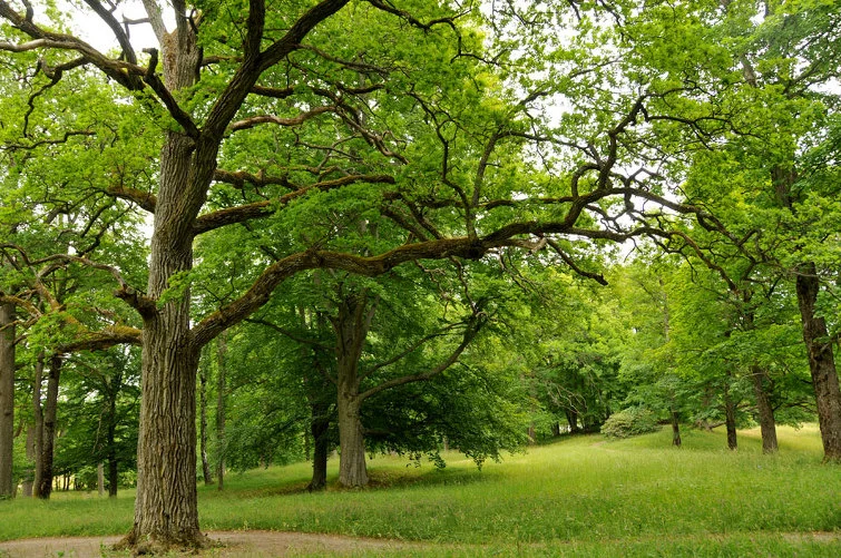 1272D64F4F40E9562C08B0