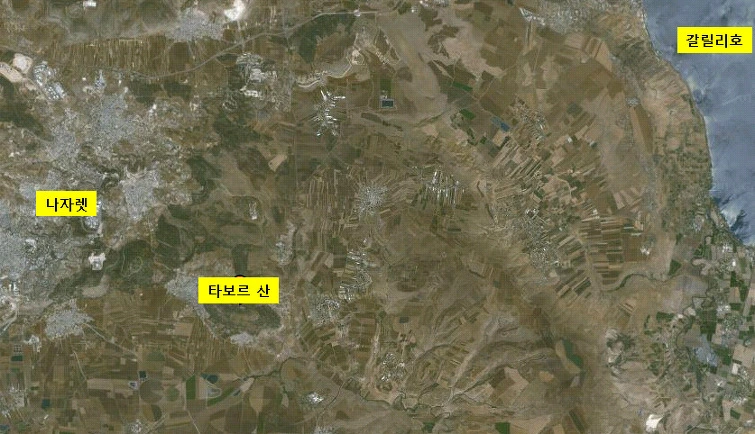 13186D564E4E426303ED36