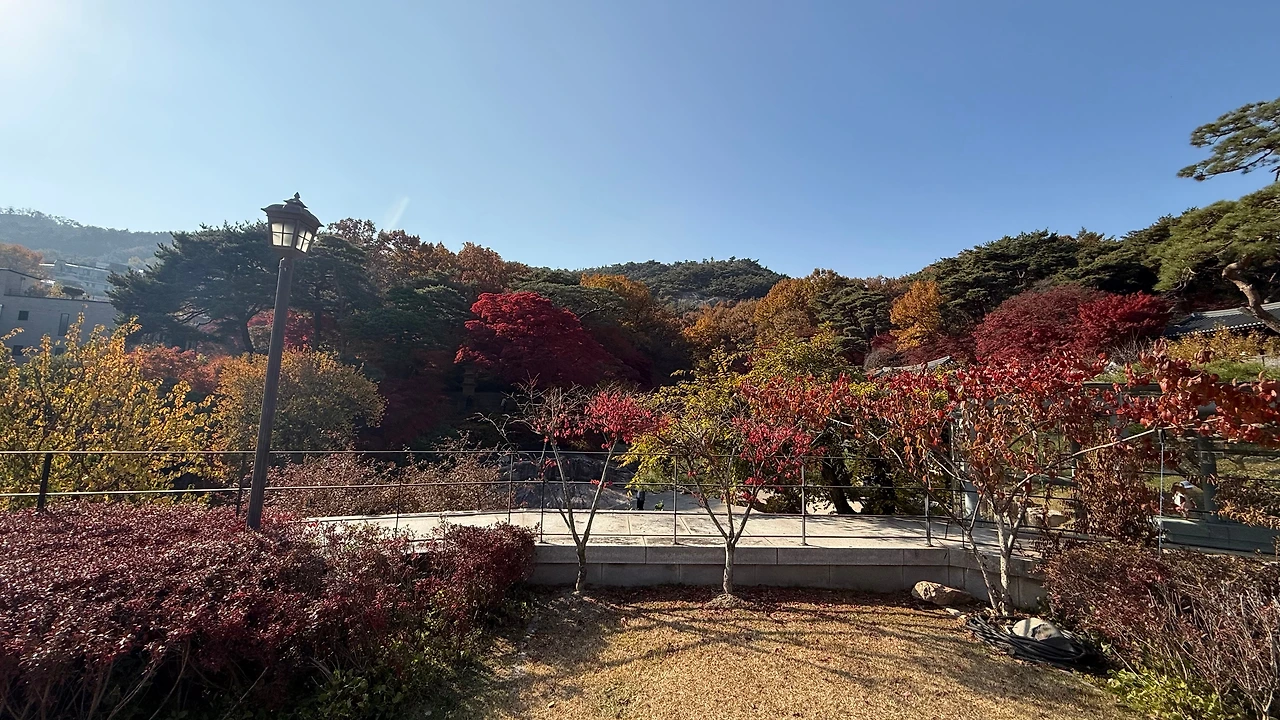 KakaoTalk_Photo_2025-11-12-23-11-11 001.jpeg