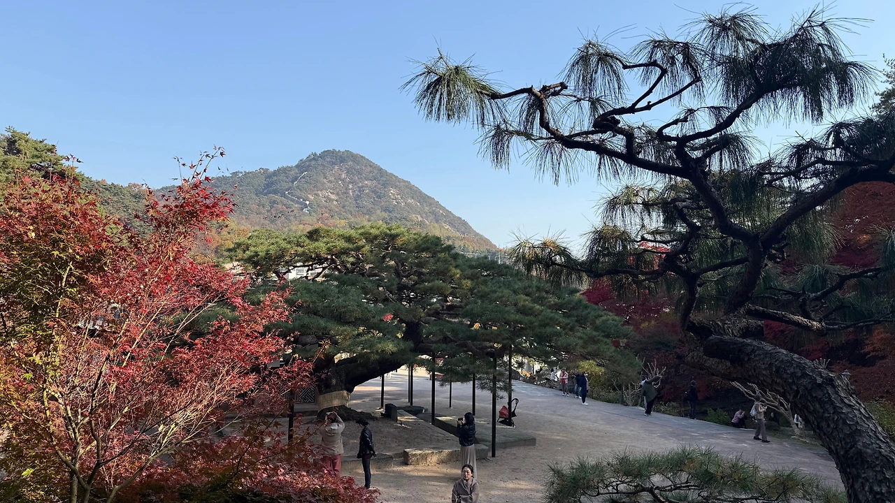 KakaoTalk_Photo_2025-11-12-23-11-13 005.jpeg