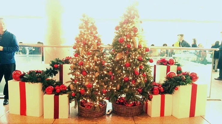 KakaoTalk_20151229_180633427.jpg?type=w2