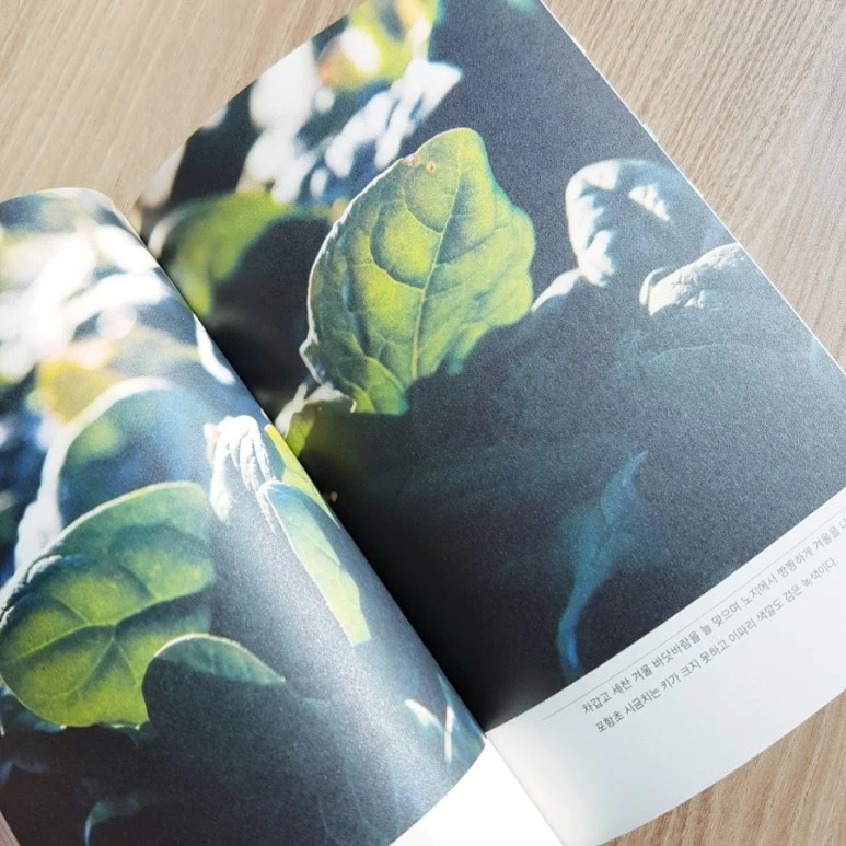 20180821_173710.jpg?type=w773