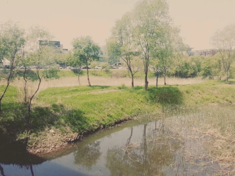 KakaoTalk_20160508_164321680.jpg?type=w773