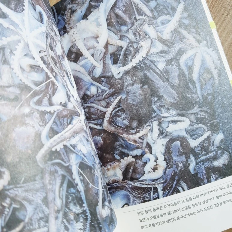 20180821_173719.jpg?type=w773