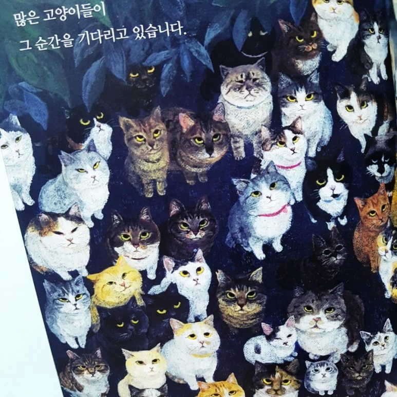 20181021_103126.jpg?type=w773