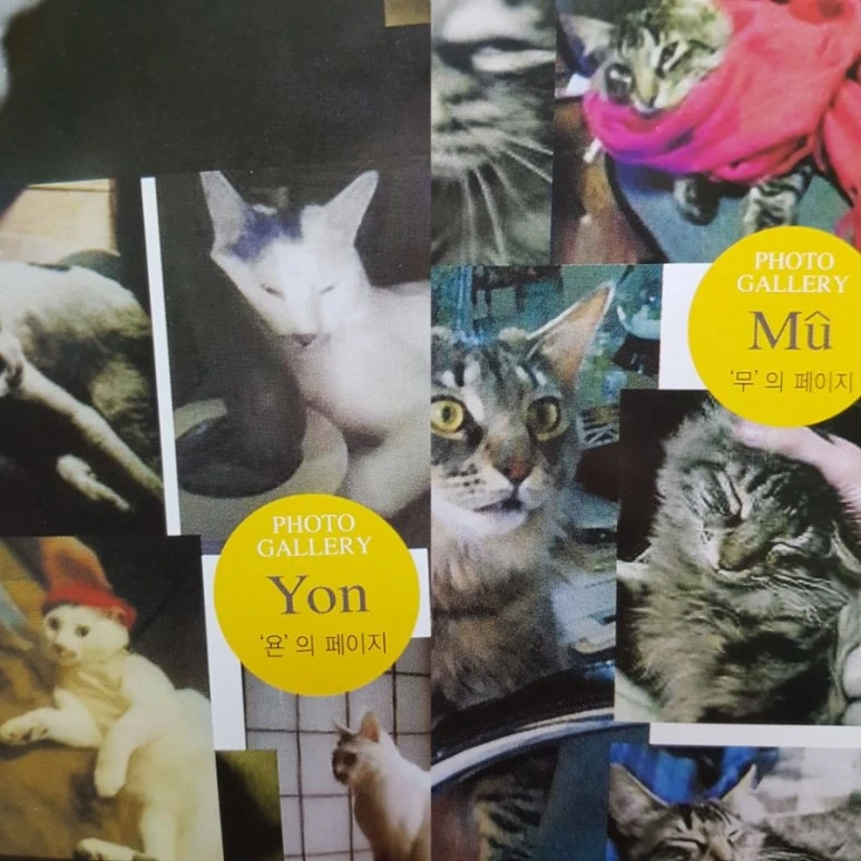 20180905_081729.jpg?type=w773