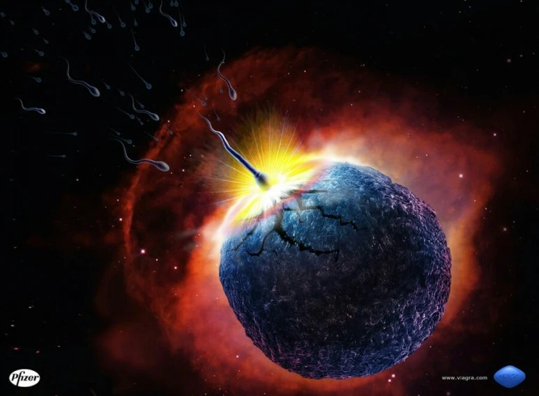 8919c388-278b-4496-8900-a544bcfdfb2f.jpg?type=w773