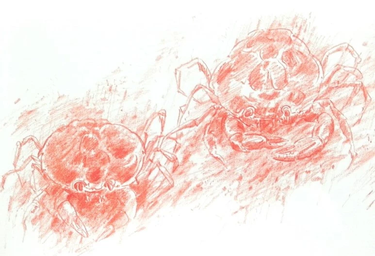 KakaoTalk_20160424_201231283.jpg?type=w773