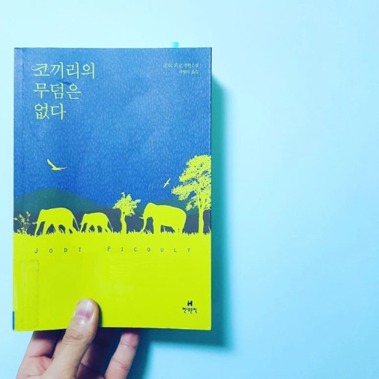 IMG_20170731_185606_926.jpg?type=w773