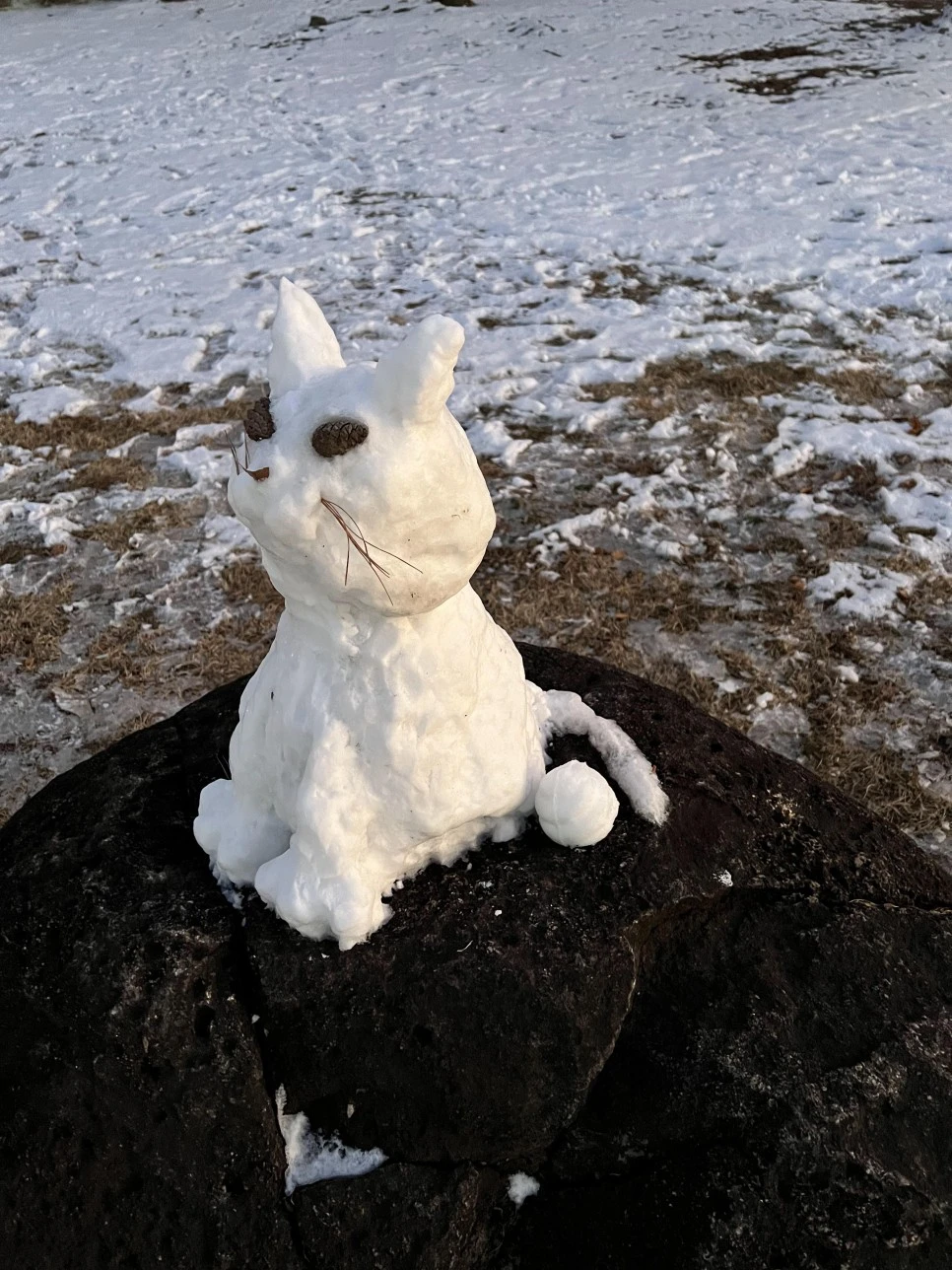 2023_12_25_17_43_IMG_6979.JPG?type=w966